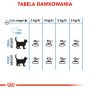 ROYAL CANIN Light Weight Care karma sucha dla kotów dorosłych, utrzymanie prawidłowej masy ciała 0,4 KG