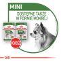 ROYAL CANIN Mini Adult karma sucha dla psów dorosłych, ras małych 4 KG
