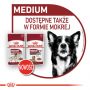 ROYAL CANIN Medium Ageing karma sucha dla psów dojrzałych po 10 roku życia, ras średnich 15 KG