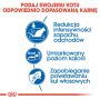ROYAL CANIN Indoor karma sucha dla kotów dorosłych, przebywających wyłącznie w domu 0,4 KG