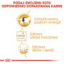 ROYAL CANIN BRITISH SHORTHAIR KARMA MOKRA W SOSIE DLA KOTÓW DOROSŁYCH RASY BRYTYJSKI KRÓTKOWŁOSY 85 G
