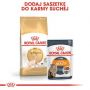 ROYAL CANIN Sphynx Adult karma sucha dla kotów dorosłych rasy sfinks 0,4 KG