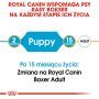 ROYAL CANIN BOXER PUPPY KARMA SUCHA DLA SZCZENIĄT DO 15 MIESIĄCA, RASY BOKSER 12 KG