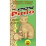 SUPER BENEK PINIO 5L