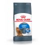 ROYAL CANIN LIGHT WEIGHT CARE 10KG KARMA SUCHA DLA KOTÓW DOROSŁYCH, UTRZYMANIE PRAWIDŁOWEJ MASY CIAŁA