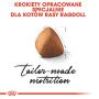 ROYAL CANIN RAGDOL ADULT KARMA SUCHA DLA KOTÓW DOROSŁYCH RASY RAGDOLL 10 KG