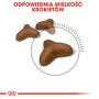 ROYAL CANIN Light Weight Care karma sucha dla kotów dorosłych, utrzymanie prawidłowej masy ciała 0,4 KG
