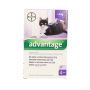 ADVANTAGE KOT 0,8 ML ( POW.4 KG)  ROZTWÓR DO NAKRAPIANIA