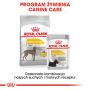 ROYAL CANIN CCN MAXI DERMACOMFORT KARMA SUCHA DLA PSÓW DOROSŁYCH, RAS DUŻYCH O WRAŻLIWEJ SKÓRZE 3 KG