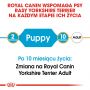 ROYAL CANIN YORKSHIRE TERRIER PUPPY KARMA SUCHA DLA SZCZENIĄT DO 10 MIESIĄCA, RASY YORKSHIRE TERRIER 7,5 KG