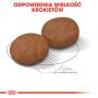 ROYAL CANIN Medium Adult 7+ karma sucha dla psów starszych od 7 do 10 roku życia, ras średnich 15 KG