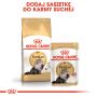 ROYAL CANIN PERSIAN ADULT KARMA SUCHA DLA KOTÓW DOROSŁYCH RASY PERSKIEJ 0,4 KG