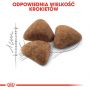 ROYAL CANIN Indoor karma sucha dla kotów dorosłych, przebywających wyłącznie w domu 0,4 KG