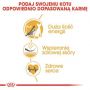 ROYAL CANIN Sphynx Adult karma sucha dla kotów dorosłych rasy sfinks 0,4 KG