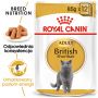 ROYAL CANIN BRITISH SHORTHAIR KARMA MOKRA W SOSIE DLA KOTÓW DOROSŁYCH RASY BRYTYJSKI KRÓTKOWŁOSY 85 G