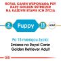 ROYAL CANIN GOLDEN RETRIEVER PUPPY KARMA SUCHA DLA SZCZENIĄT DO 15 MIESIĄCA, RASY GOLDEN RETRIEVER 12 KG