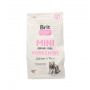 BRIT CARE MINI GRAIN FREE YORKSHIRE 2KG