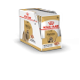 ROYAL CANIN SHIH TZU ADULT KARMA MOKRA - PASZTET, DLA PSÓW DOROSŁYCH RASY SHIH TZU 85 G