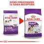 ROYAL CANIN Giant Adult karma sucha dla psów dorosłych, od 18/24 miesiąca życia, ras olbrzymich 15 KG