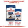 ROYAL CANIN Maxi Adult karma sucha dla psów starszych, od 5 do 8 roku życia, ras dużych 15 KG