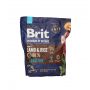 BRIT PREMIUM BY NATURE SENSITIVE LAMB&RICE 1KG