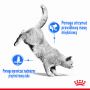 ROYAL CANIN LIGHT WEIGHT CARE 10KG KARMA SUCHA DLA KOTÓW DOROSŁYCH, UTRZYMANIE PRAWIDŁOWEJ MASY CIAŁA