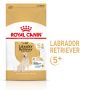 ROYAL CANIN LABRADOR RETRIEVER ADULT KARMA SUCHA DLA PSÓW DOROSŁYCH RASY LABRADOR RETRIEVER, POWYŻEJ 5 ROKU ŻYCIA 12 KG