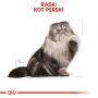 ROYAL CANIN PERSIAN ADULT KARMA SUCHA DLA KOTÓW DOROSŁYCH RASY PERSKIEJ 4 KG