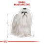 ROYAL CANIN Maltese Adult karma sucha dla psów dorosłych rasy maltańczyk 0,5 KG