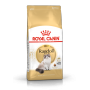 ROYAL CANIN RAGDOL ADULT KARMA SUCHA DLA KOTÓW DOROSŁYCH RASY RAGDOLL 10 KG