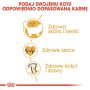 ROYAL CANIN RAGDOL ADULT KARMA SUCHA DLA KOTÓW DOROSŁYCH RASY RAGDOLL 10 KG
