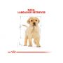 ROYAL CANIN LABRADOR RETRIEVER PUPPY KARMA SUCHA DLA SZCZENIĄT DO 15 MIESIĄCA, RASY LABRADOR RETRIEVER
