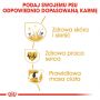 ROYAL CANIN Golden Retriever Adult karma sucha dla psów dorosłych rasy golden retriever 12 KG