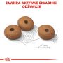 ROYAL CANIN CCN MEDIUM LIGHT WEIGHT CARE KARMA SUCHA DLA PSÓW DOROSŁYCH, RAS ŚREDNICH Z TENDENCJĄ DO NADWAGI 12 KG