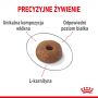 ROYAL CANIN Light Weight Care karma sucha dla kotów dorosłych, utrzymanie prawidłowej masy ciała 3,5 KG