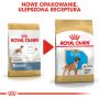 ROYAL CANIN BOXER PUPPY KARMA SUCHA DLA SZCZENIĄT DO 15 MIESIĄCA, RASY BOKSER 12 KG