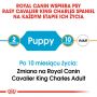 ROYAL CANIN Cavalier King Charles Spaniel Adult karma sucha dla szczeniąt do 10 miesiąca, rasy cavalier king charles spaniel 1,5 KG