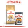ROYAL CANIN Norvegian Forest Cat Adult karma sucha dla kotów dorosłych rasy norweski leśny 10 KG