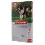 ADVANTIX SPOT-ON 4 X 2,5 ML (10-25 KG)  ROZTWÓR DO NAKRAPIANIA