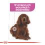 ROYAL CANIN CCN MEDIUM RELAX CARE KARMA SUCHA DLA PSÓW DOROSŁYCH, RAS ŚREDNICH, NARAŻONYCH NA DZIAŁANIE STRESU 3 KG