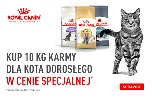 KARMY ROYAL CANIN 10 KG W SPECJALNEJ CENIE