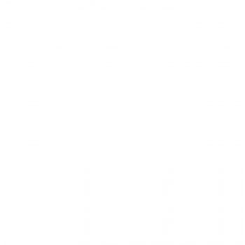 OVER ZOO SZAMPON DLA SZCZENIĄT YORKSHIRE TERRIER 250ML