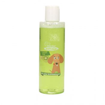 OVER ZOO SZAMPON Z KIWI DLA PSÓW KRÓTKOWŁOSYCH 200 ML