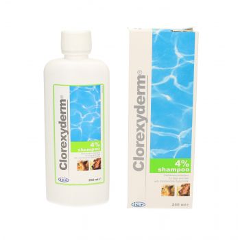 CLOREXYDERM SCHAMPOO 4% 250ML