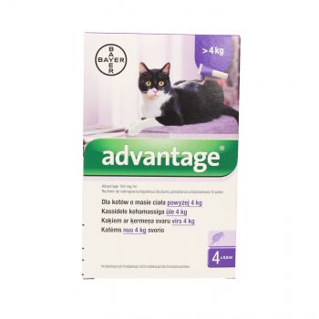ADVANTAGE KOT 0,8 ML ( POW.4 KG)  ROZTWÓR DO NAKRAPIANIA